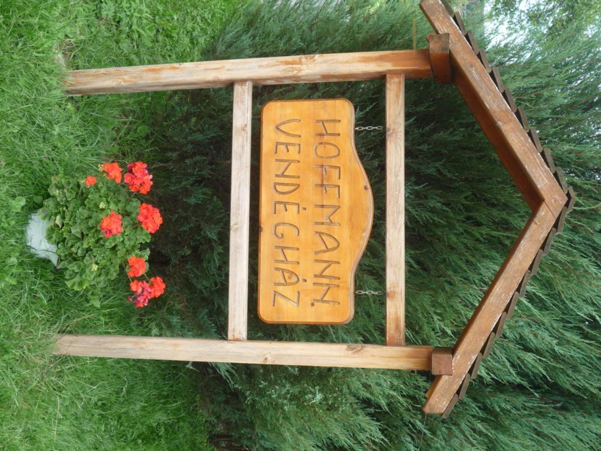 Hoffmann Vendeghaz Apartment Nagyrákos Екстериор снимка